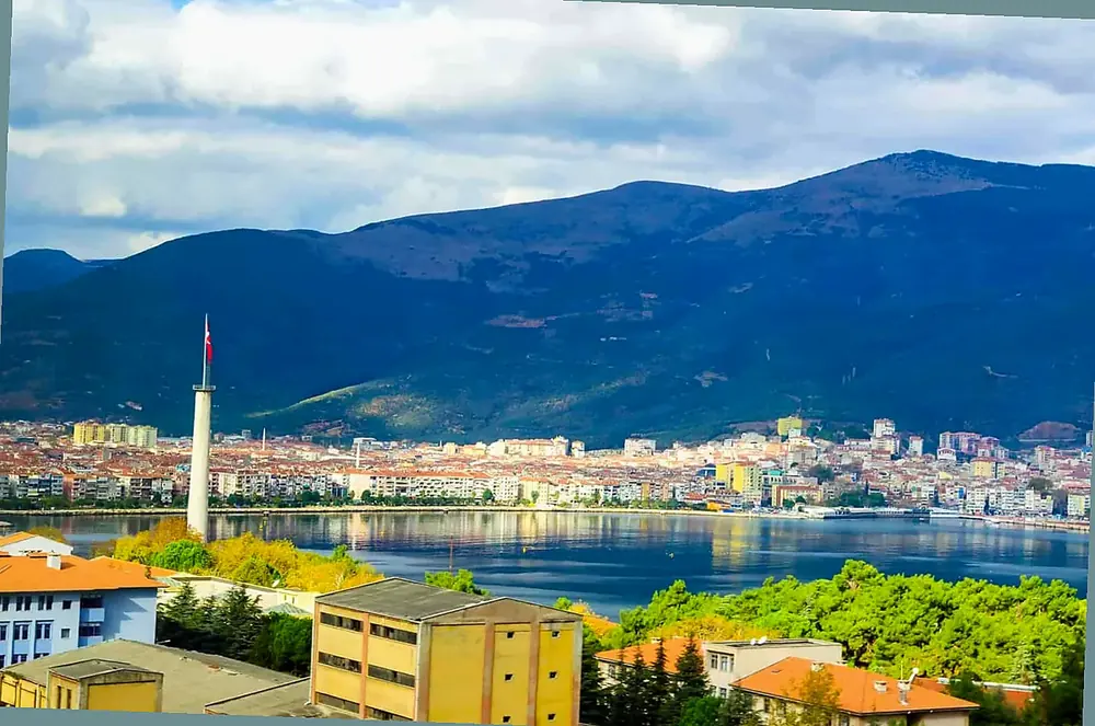 Bursa